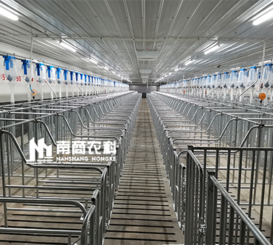 南商農科：山東聊城規模4800頭母豬場