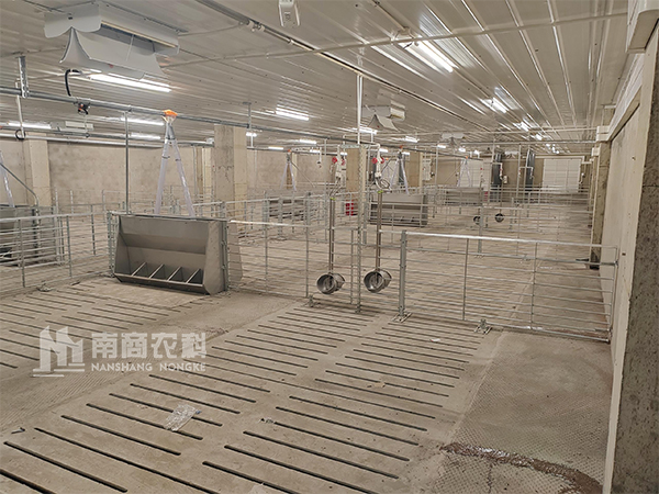 建設(shè)1000頭育肥舍，需要的投資預(yù)算多少？