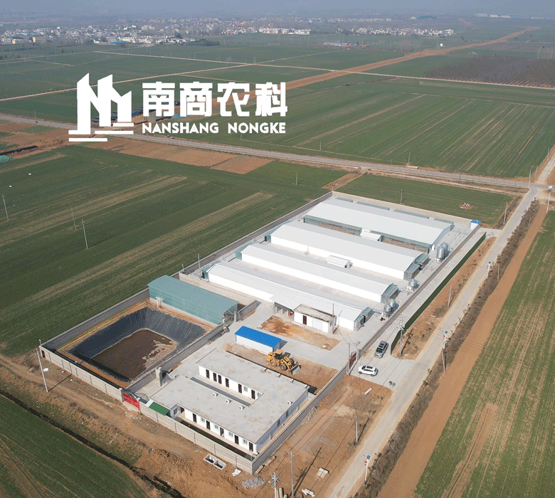  南商農(nóng)科：鄧州市南商農(nóng)科實(shí)驗(yàn)豬場(chǎng)即將投產(chǎn)。